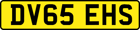 DV65EHS