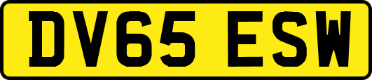DV65ESW
