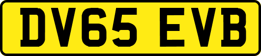 DV65EVB