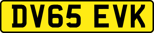 DV65EVK