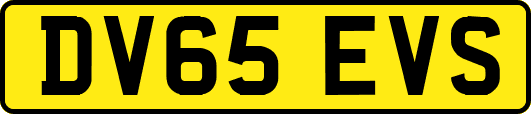 DV65EVS