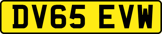 DV65EVW