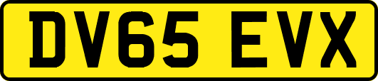 DV65EVX