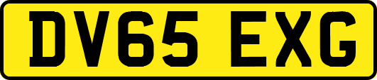 DV65EXG