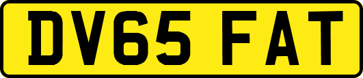 DV65FAT