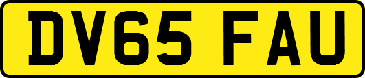 DV65FAU
