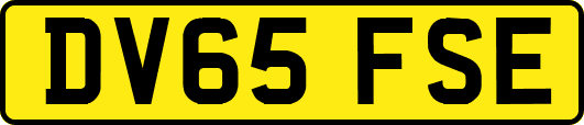 DV65FSE