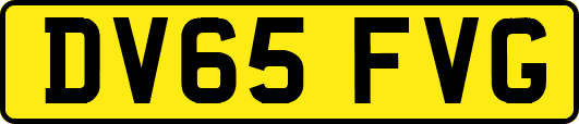 DV65FVG