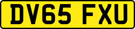DV65FXU