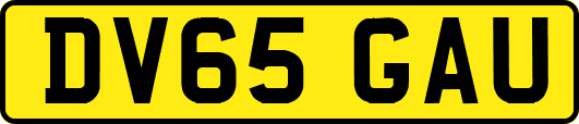 DV65GAU