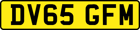 DV65GFM