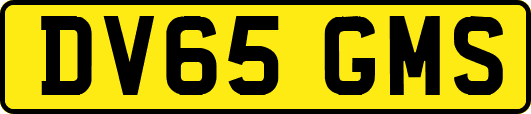 DV65GMS