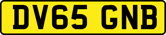 DV65GNB