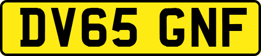 DV65GNF