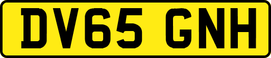 DV65GNH