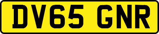 DV65GNR