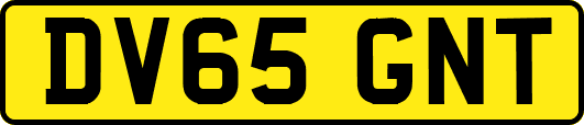 DV65GNT