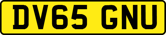 DV65GNU