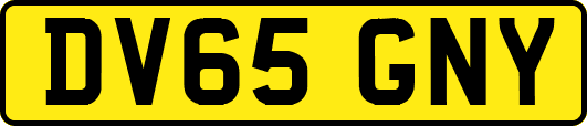 DV65GNY