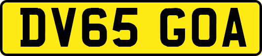 DV65GOA
