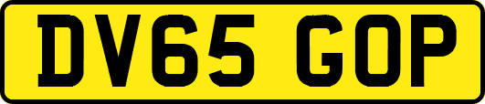 DV65GOP