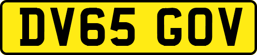 DV65GOV