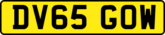 DV65GOW