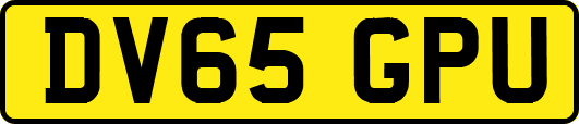 DV65GPU