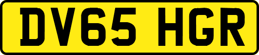 DV65HGR