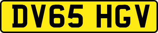 DV65HGV