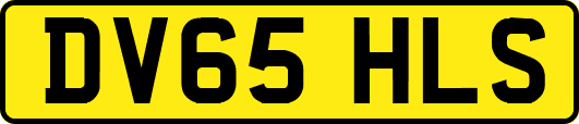 DV65HLS