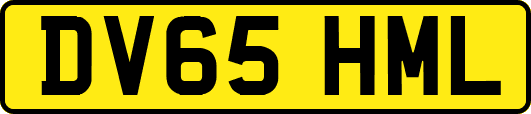 DV65HML