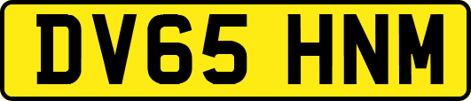 DV65HNM