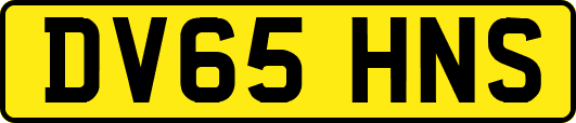 DV65HNS