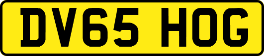 DV65HOG