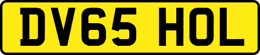 DV65HOL
