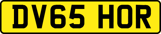 DV65HOR