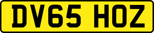 DV65HOZ