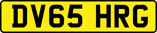 DV65HRG