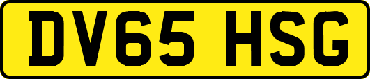 DV65HSG