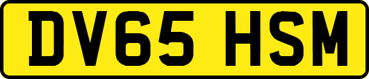 DV65HSM