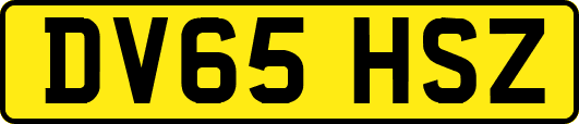 DV65HSZ