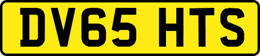 DV65HTS