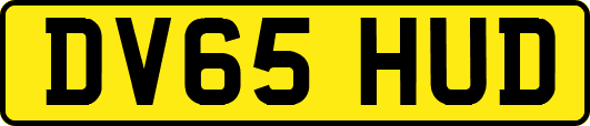 DV65HUD