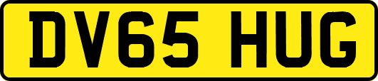 DV65HUG
