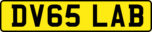 DV65LAB