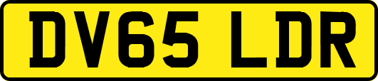 DV65LDR