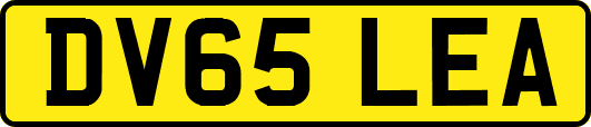 DV65LEA