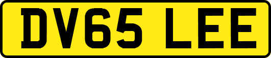 DV65LEE
