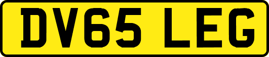DV65LEG
